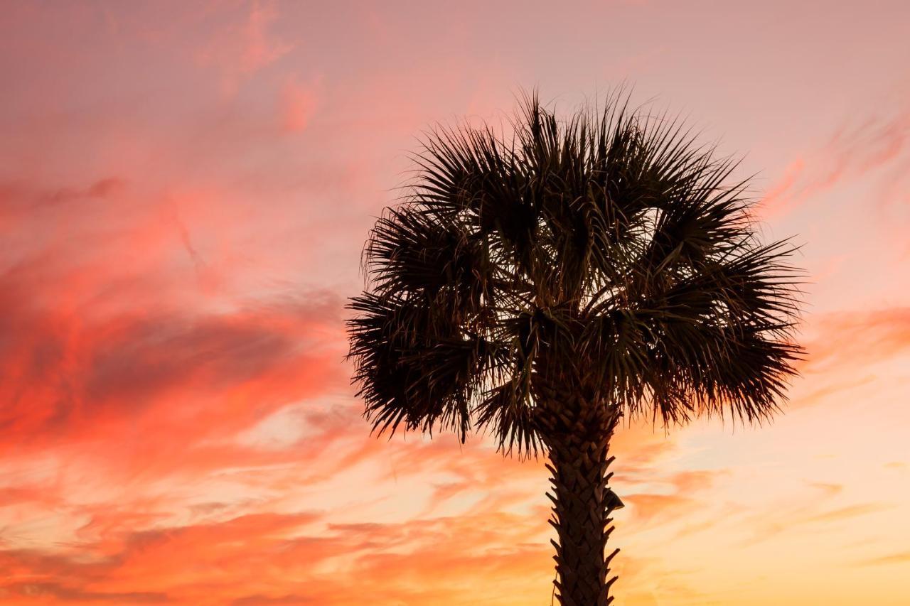 1314 Pelican Watch - Seabrook Island - Beachfront 5 Star Condo - Fido Friendly Eksteriør bilde