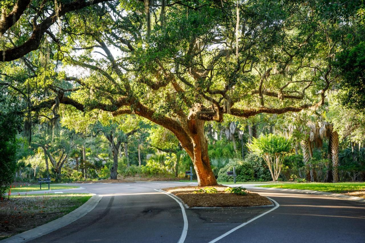 1314 Pelican Watch - Seabrook Island - Beachfront 5 Star Condo - Fido Friendly Eksteriør bilde