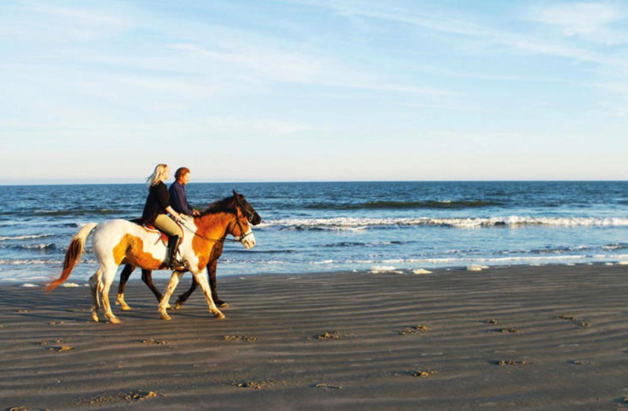 1314 Pelican Watch - Seabrook Island - Beachfront 5 Star Condo - Fido Friendly Eksteriør bilde
